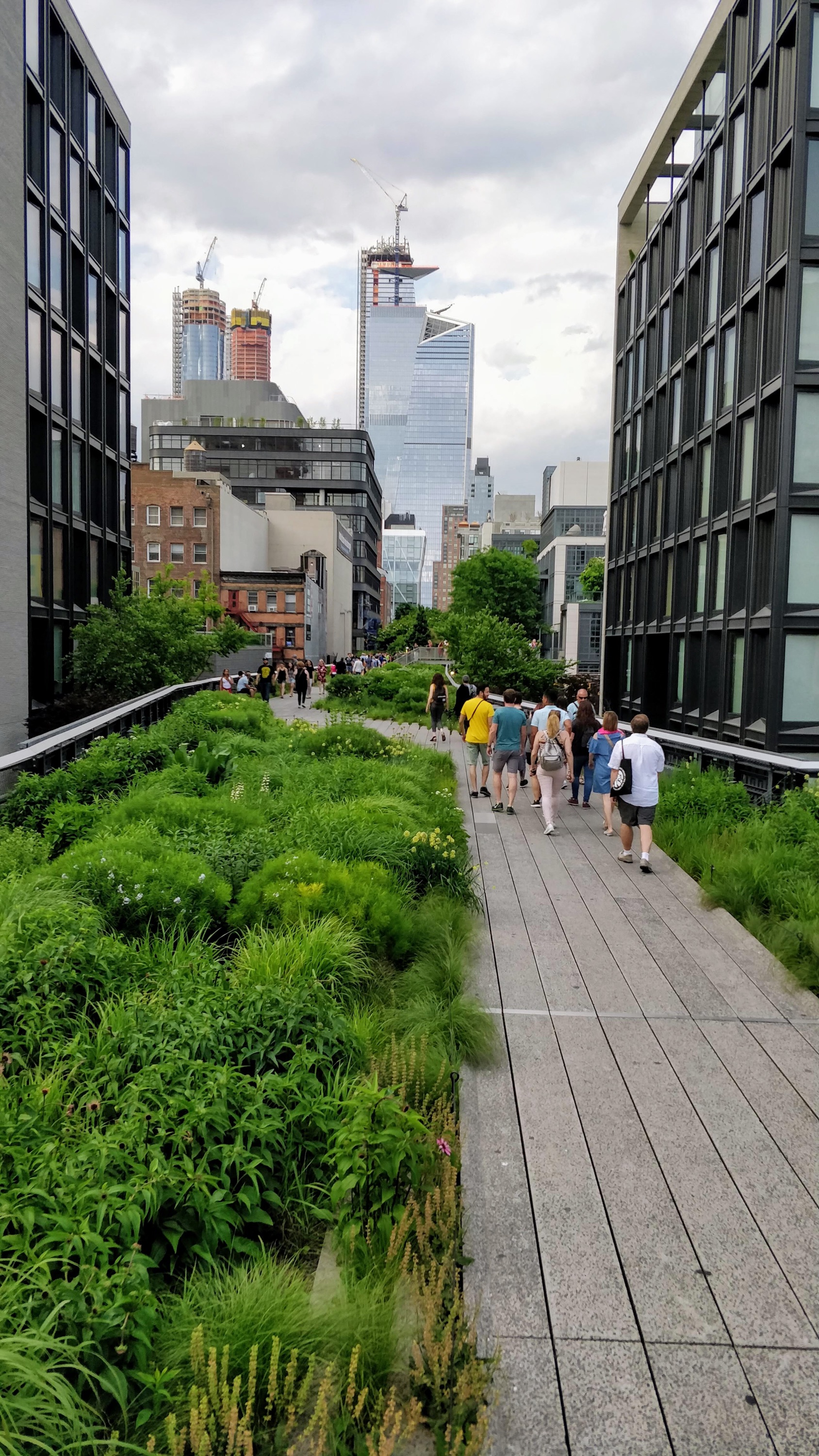 High Line trail in NYC