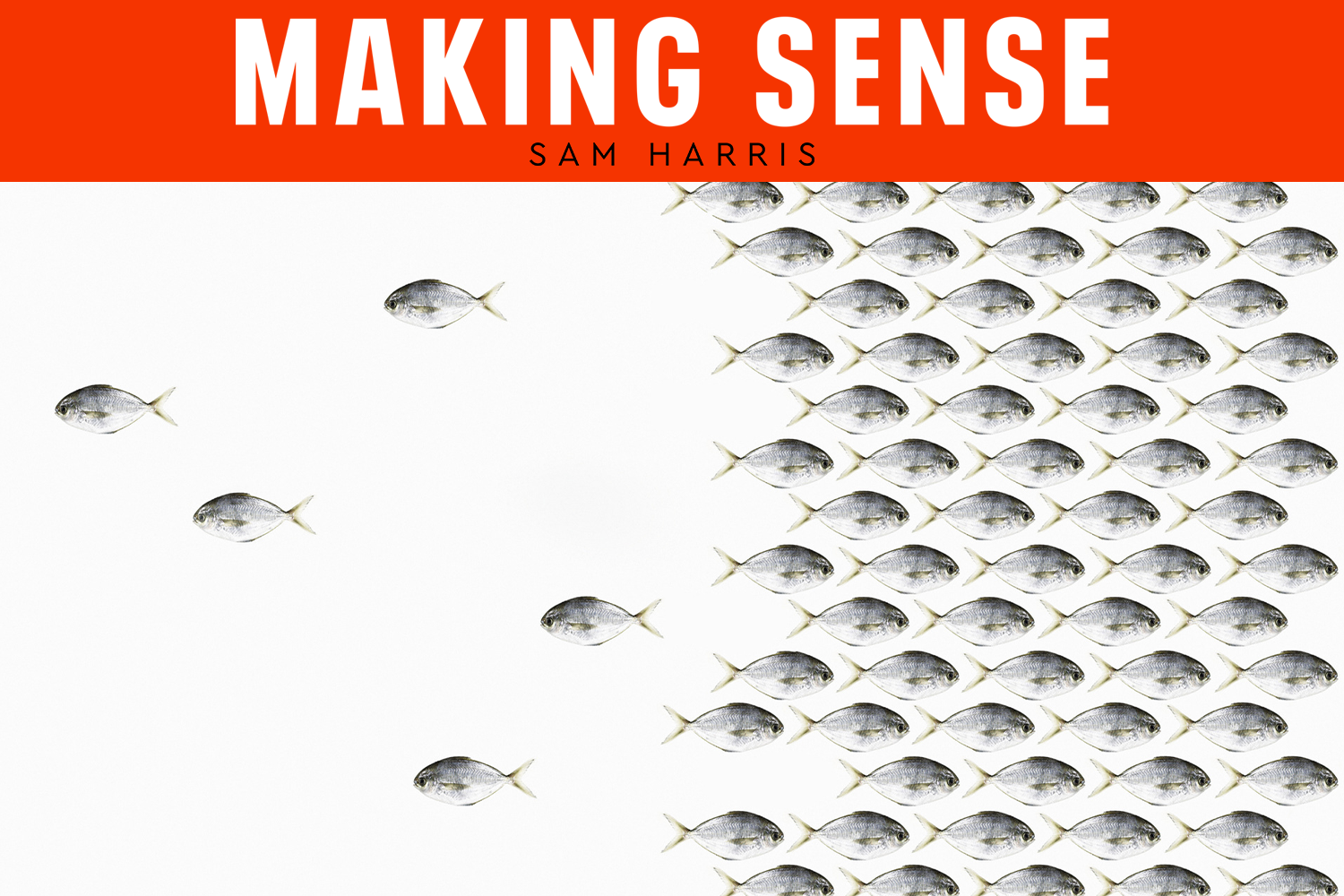 Making Sense podcast logo with a school of fish swimming to the right and a few swimming to the left
