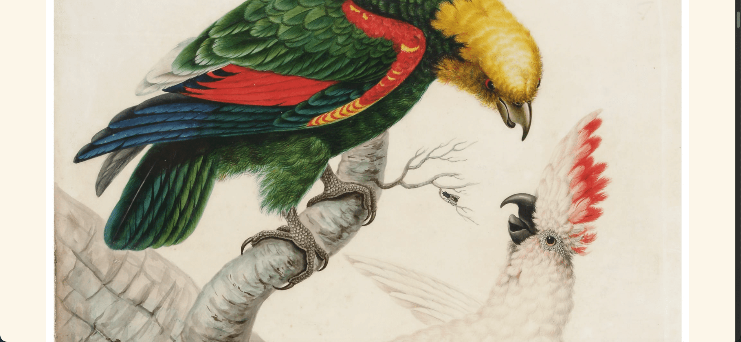 Birds of a Feather Painted